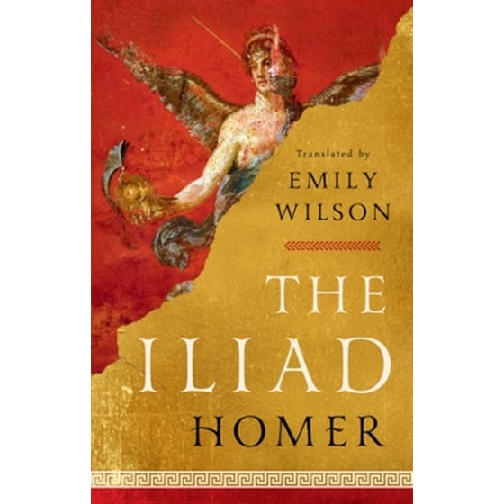 The Iliad image 0