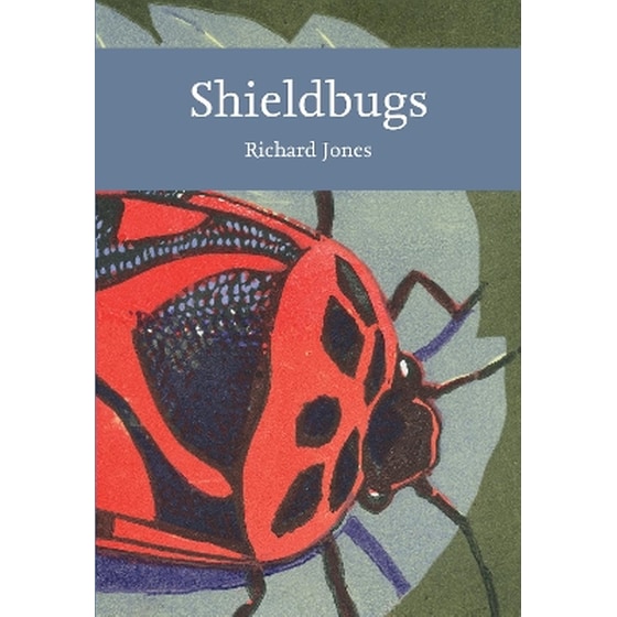 Shieldbugs image 0