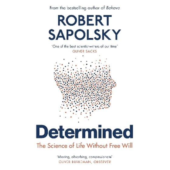 Determined image 0