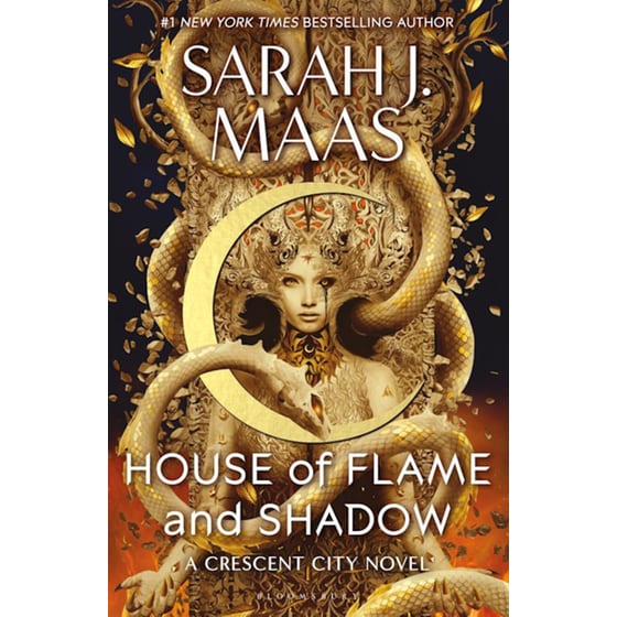 House of Flame and Shadow image 0