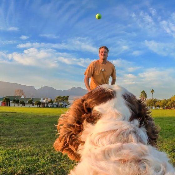 Βάση Στήριξης για Action Camera Insta360 GO3/3S Pet Harness S - Μαύρο image 3