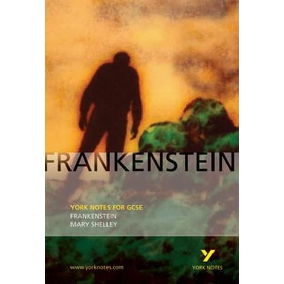 Frankenstein: York Notes for GCSE image 0