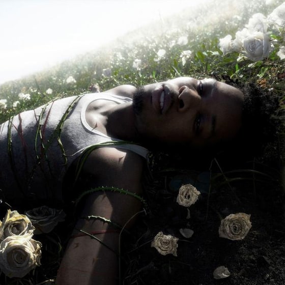 Withered  (Pure Cloudy White LP) image 0