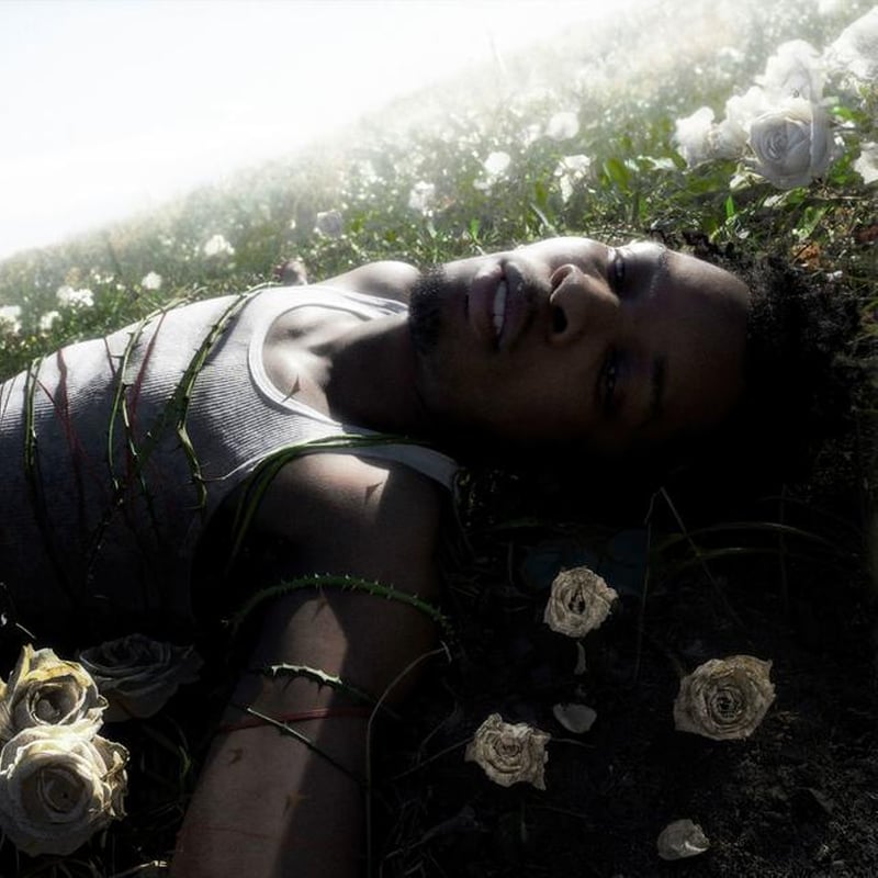 Withered (Pure Cloudy White LP)