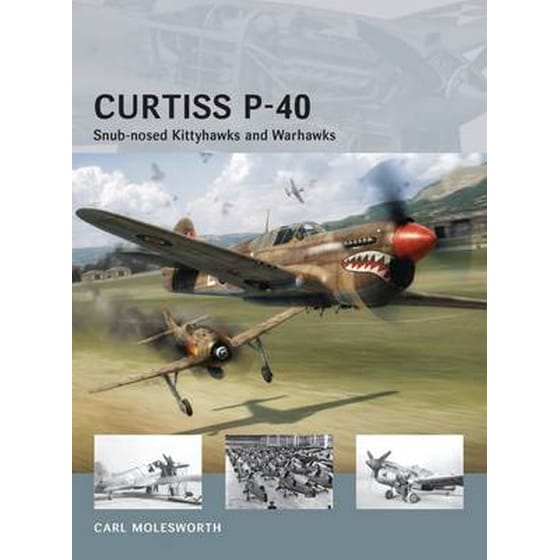Curtiss P-40 image 0