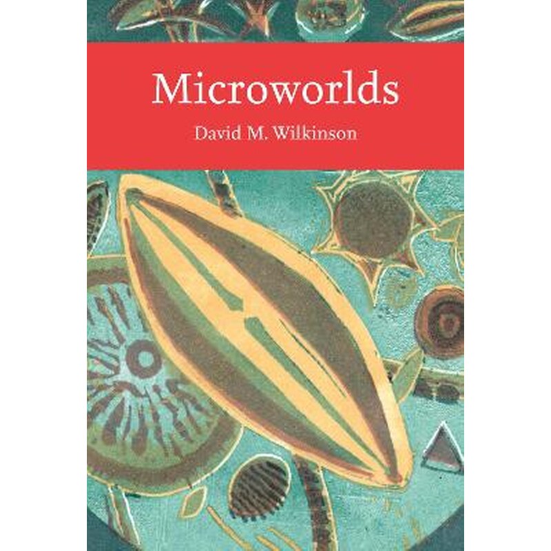 Microworlds
