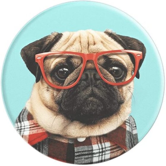 PopSockets - Studious Stu image 1