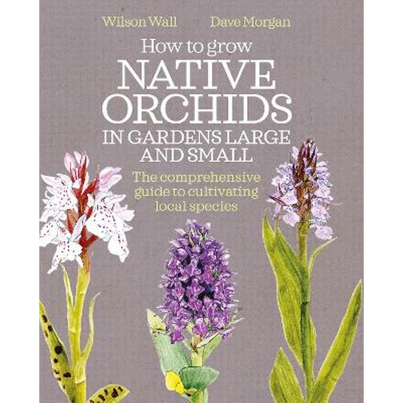 How to Grow Native Orchids in Gardens Large and Small