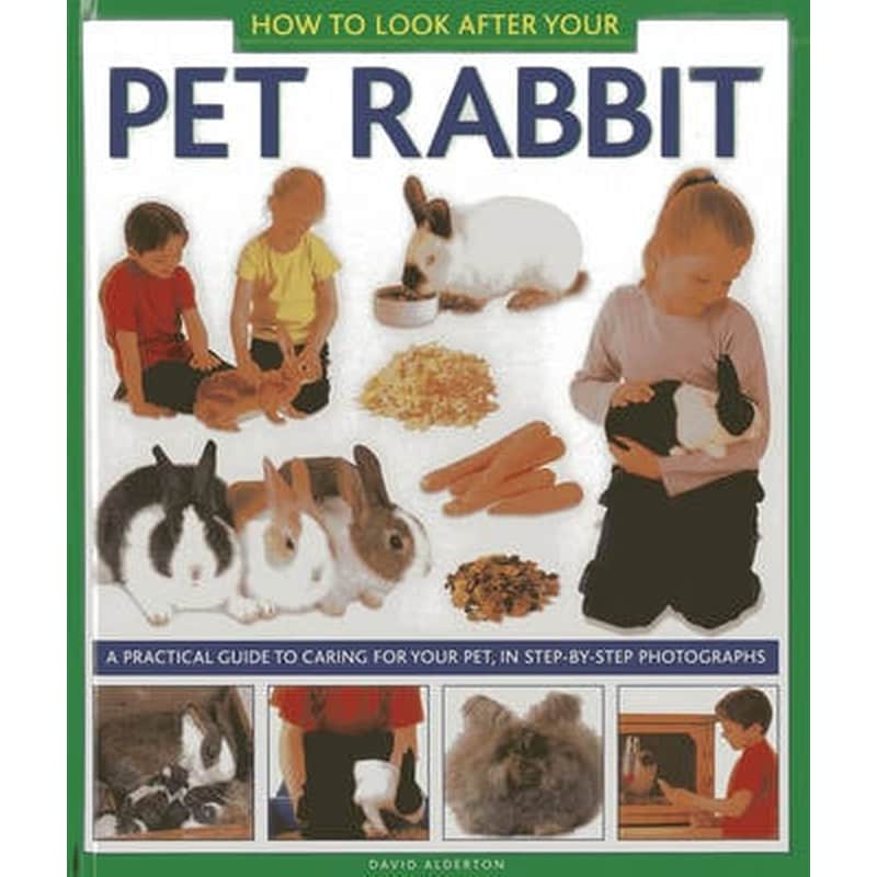 How to Look After Your Pet Rabbit