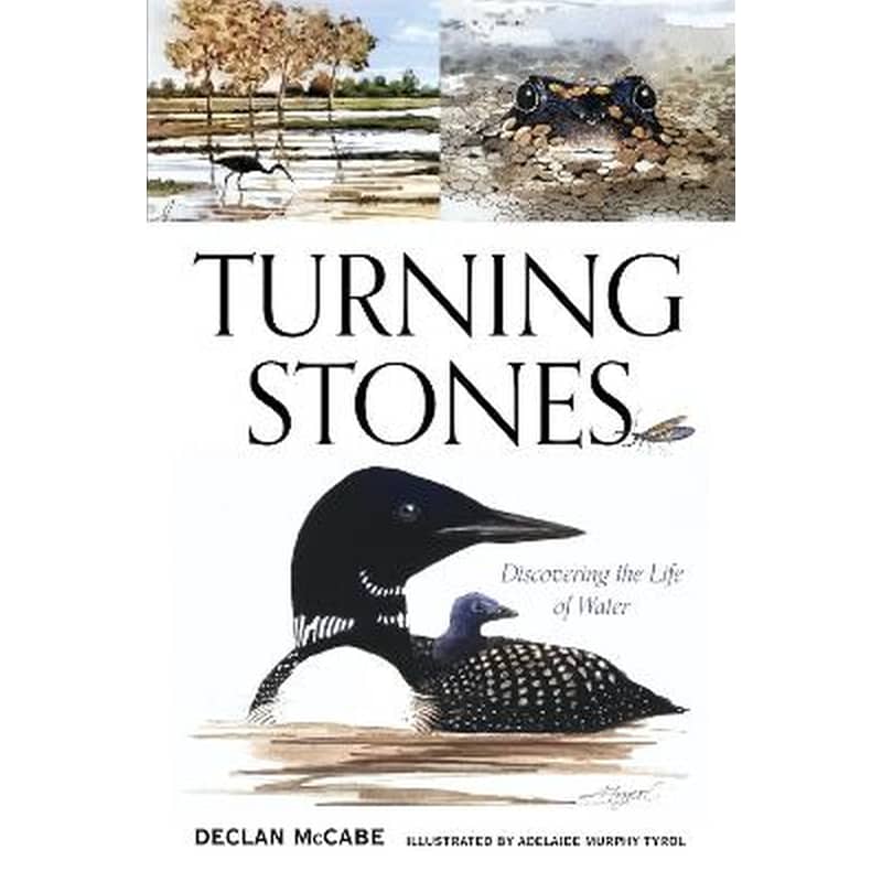 Turning Stones