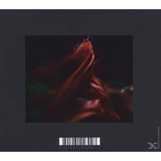 Until The Quiet Comes image 3