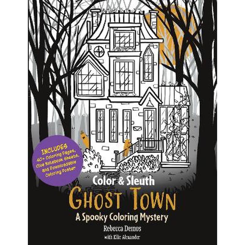 Color Sleuth: Ghost Town