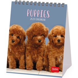 Πλανόγραμμα Μηνιαίο 2027 Επιτραπέζιο Legami 12M Puppies 12 x 14.5 cm