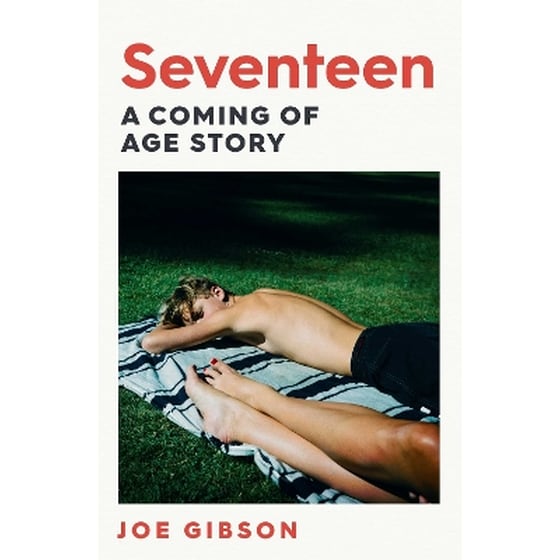 Seventeen image 0