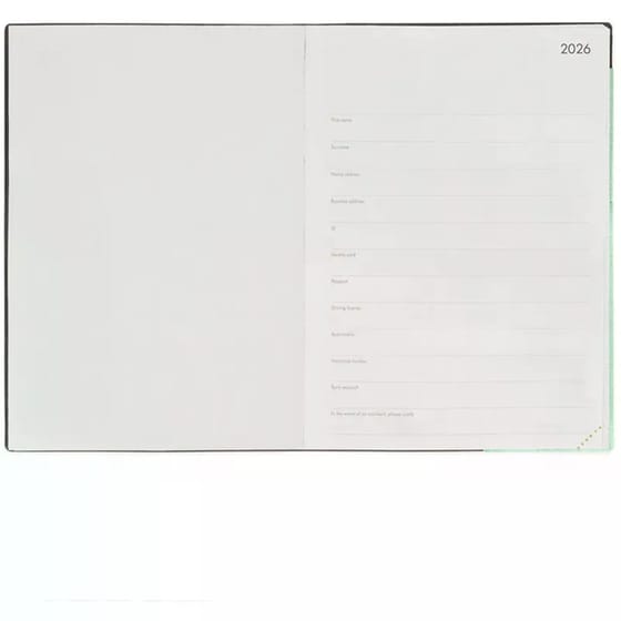 Ημερολόγιo Ημερήσιο Legami 2026 12Μ Large Pastel Mint image 1
