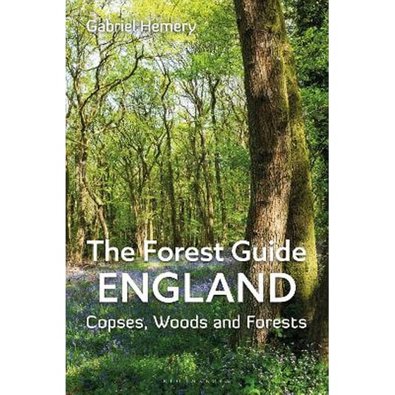 The Forest Guide: England image 0