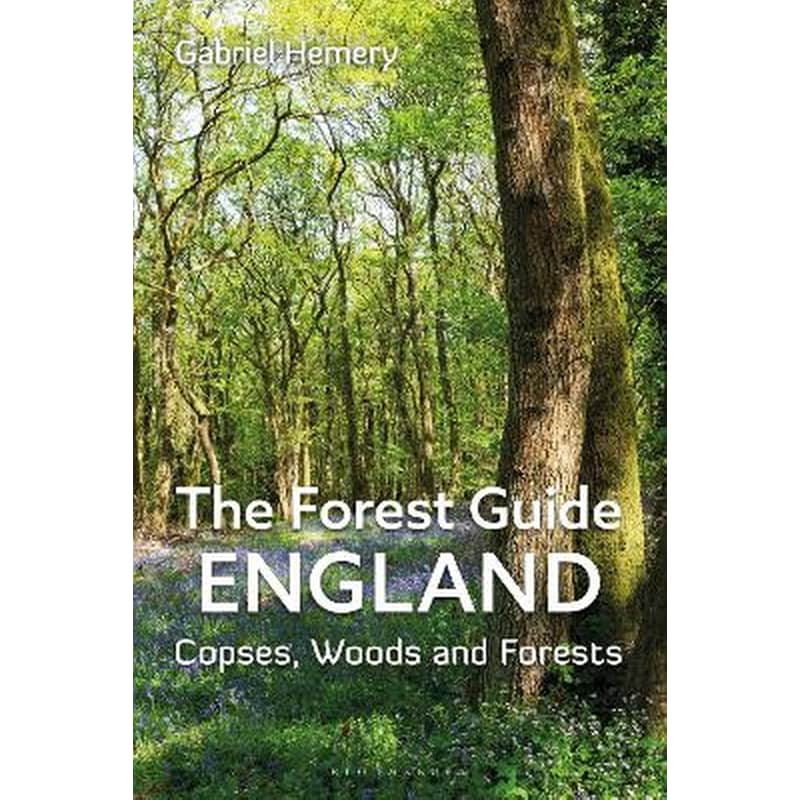The Forest Guide: England
