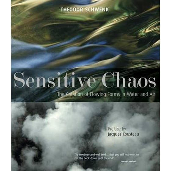Sensitive Chaos image 0