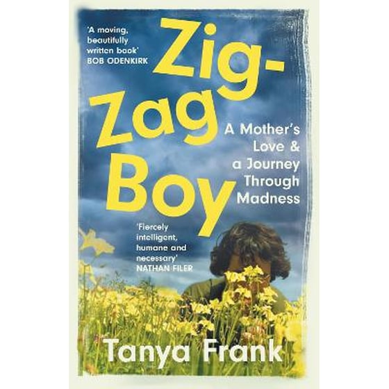 Zig-Zag Boy image 0