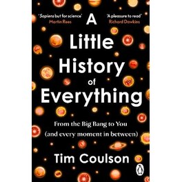 A Little History of Everything