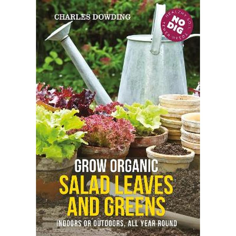 Grow Organic Salad Leaves and Greens