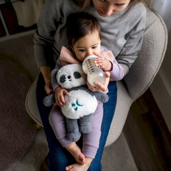 Tommee Tippee Λούτρινο Βρεφικό Κρεμαστό Παιχνίδι Pip Panda Deluxe image 10