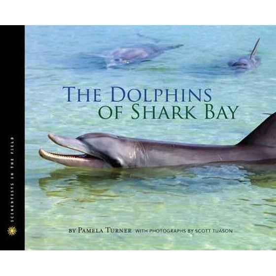 Dolphins of Shark Bay image 0