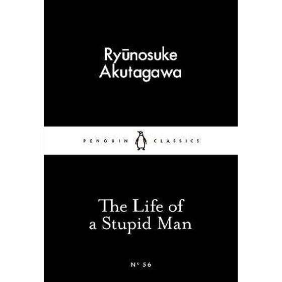 The Life of a Stupid Man image 0