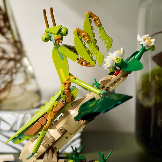 LEGO®Ideas The Insect Collection (21342) image 9