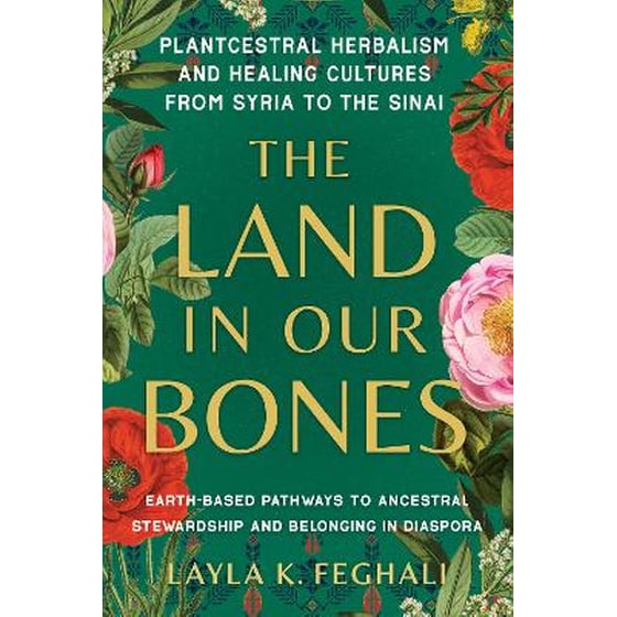 The Land in Our Bones image 0