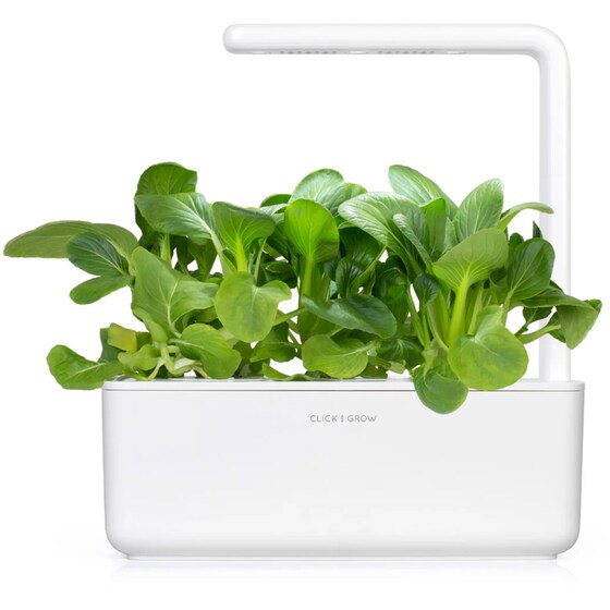 Κάψουλες Click and Grow 3 Τμχ - Κινέζικο Λάχανο image 2