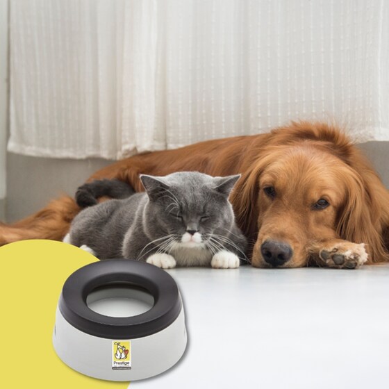 Ποτίστρα Road Refresher Large Για Κατοικίδια - Γκρι image 3