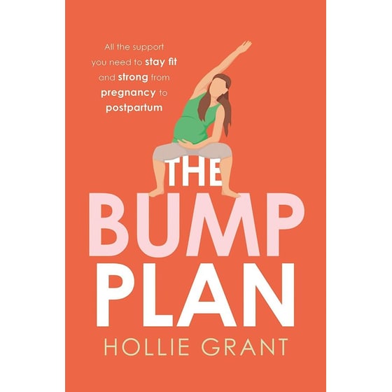 The Bump Plan image 0
