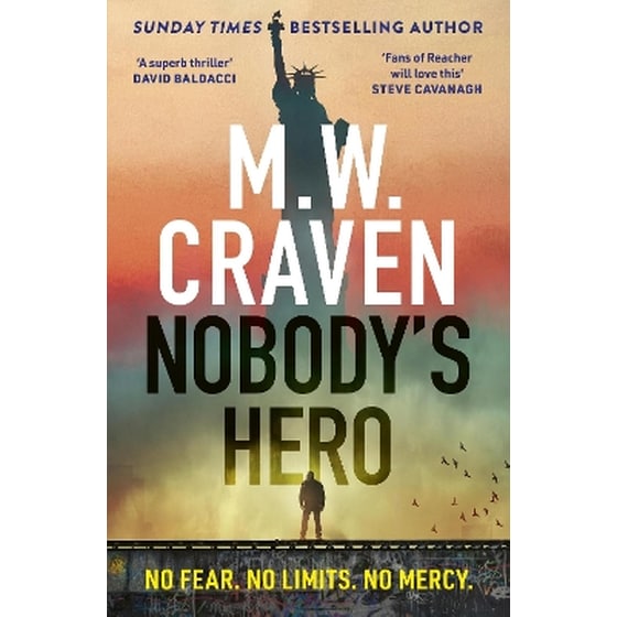 Nobody's Hero image 0