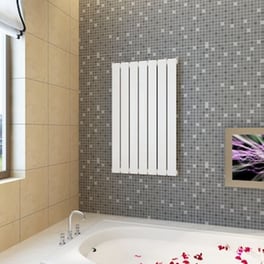 VIDAXL Πάνελ Κεντρικής Θέρμανσης 620W Λευκό