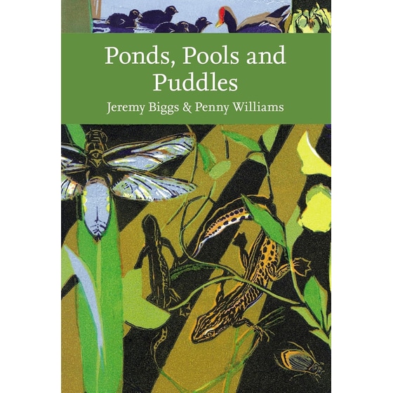 Ponds, Pools and Puddles image 0