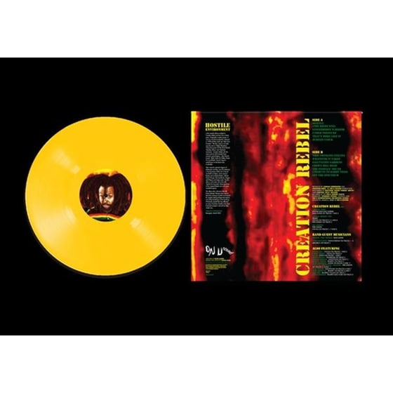 Hostile Environment (Limited Yellow Lp+Dl+Poster) image 1