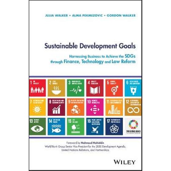 Sustainable Development Goals image 0