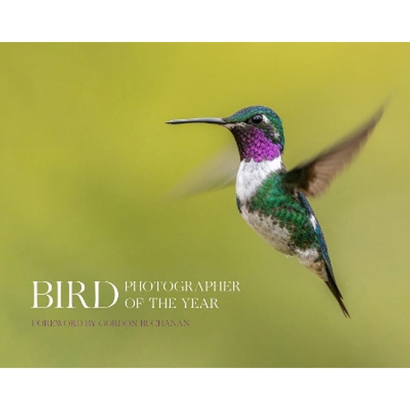 Bird Photographer of the Year