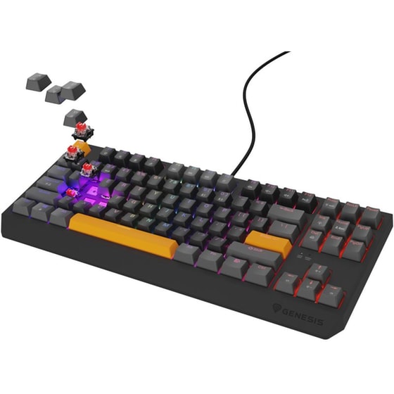 Genesis Thor 230 Gaming Μηχανικό Ενσύρματο USB Πληκτρολόγιο RGB Γκρι (US) image 2