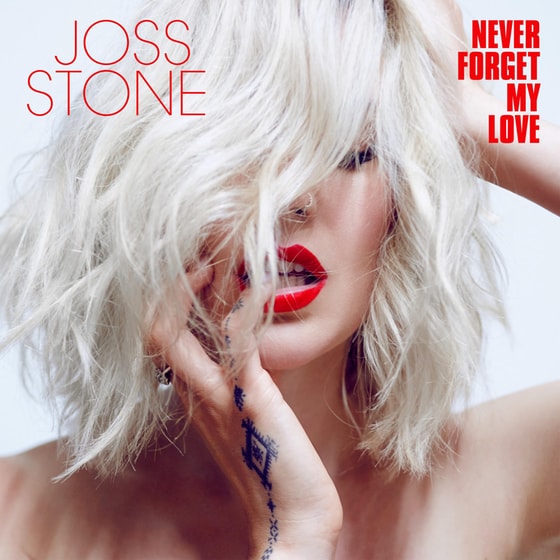 Never Forget My Love image 0