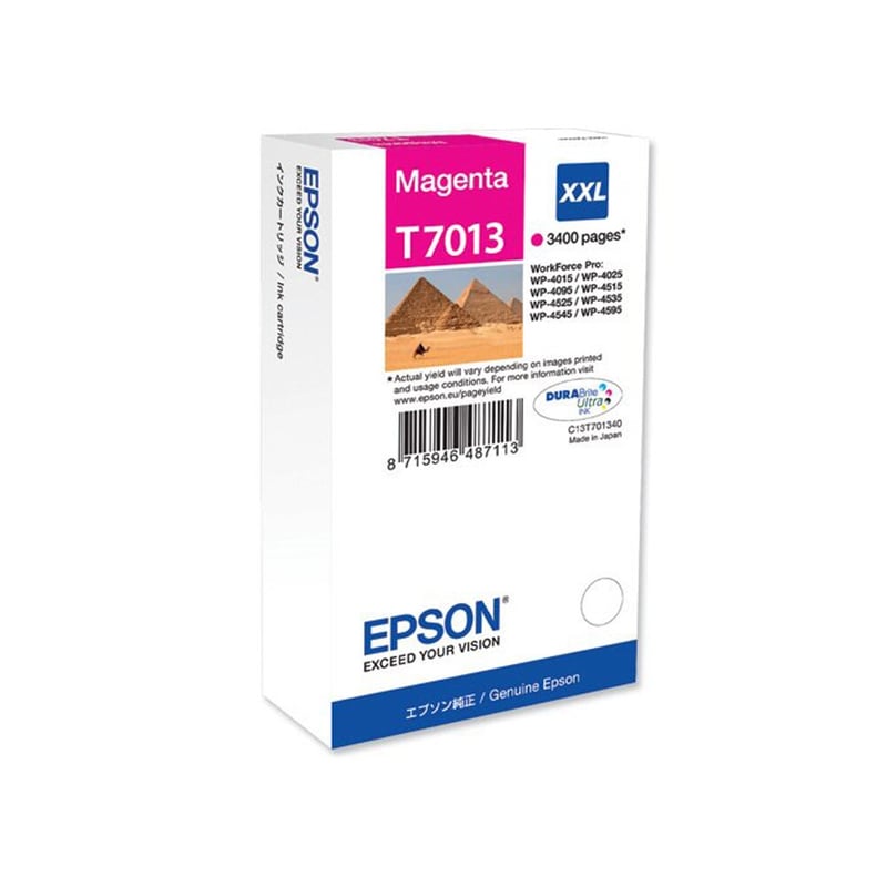 EPSON Epson T701340 Ματζέντα Μελάνι Εκτυπωτή C13T70134010