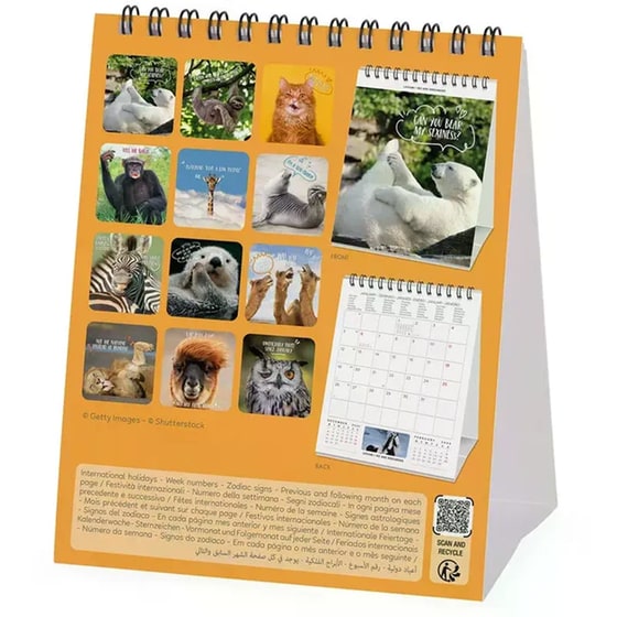 Ημερολόγιο Γραφείου Legami 2026 Take It Easy image 3