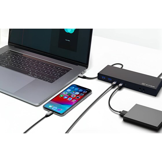 Docking Station Icy Box IB-DK2245AC 13-Port USB 3.0 συμβατό με USB-C & USB-A image 4