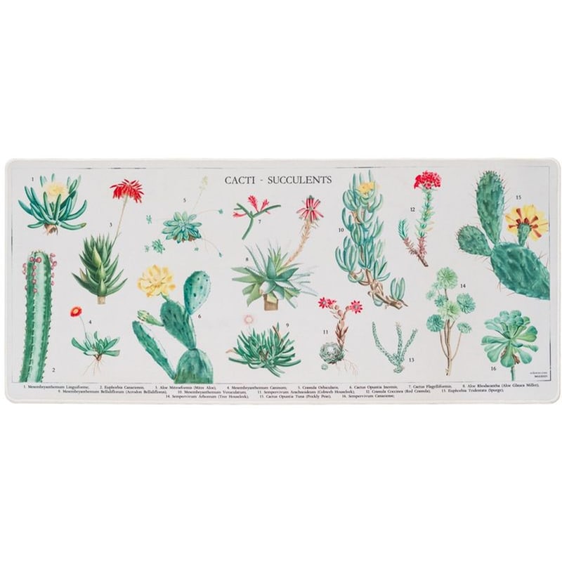 Grupo Erik Botanical Cacti Gaming Mouse Pad XL 800 mm - Με σχέδιο