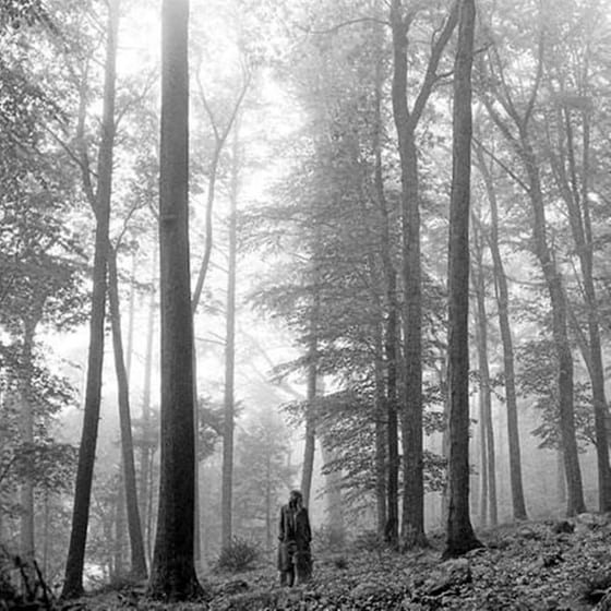 FOLKLORE image 0