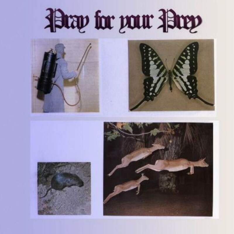 Pray For Your Pray (LP)