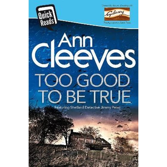 Too Good To Be True image 0