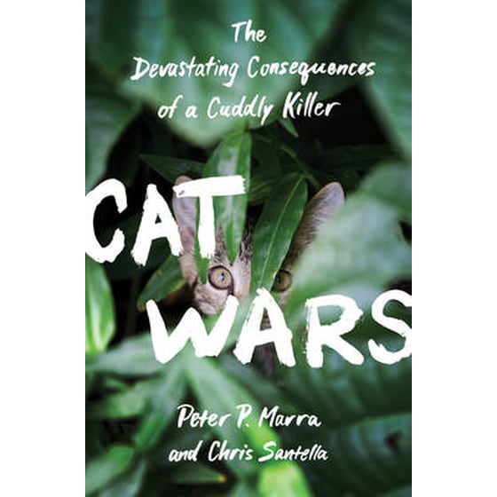 Cat Wars image 0