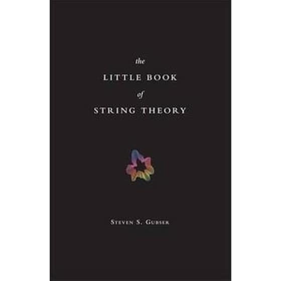 Little Book of String Theory image 0